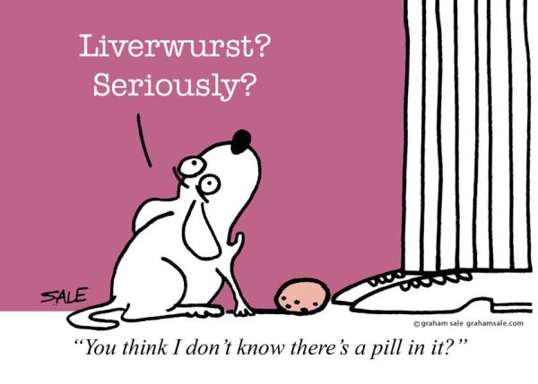 liverwurst dog ecard