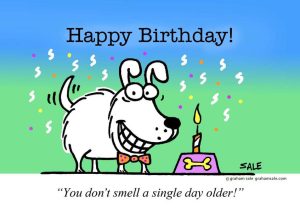 happy birthday dog ecard