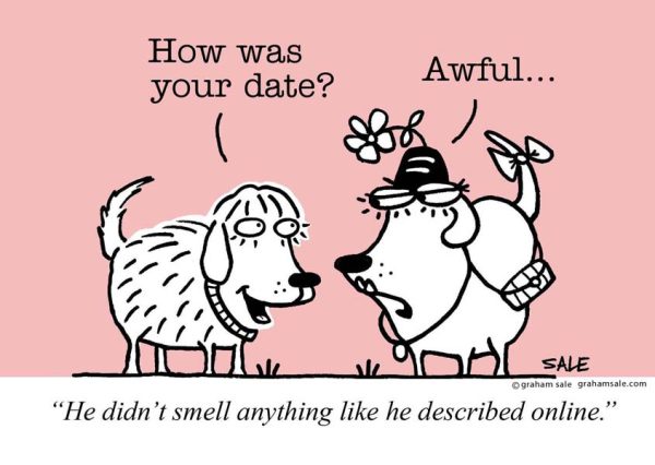 Dog Blind Date ecard