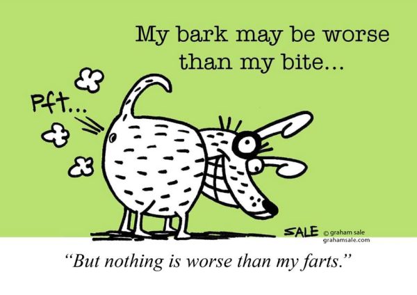 Dog Farts ecard