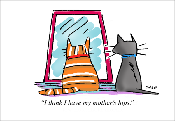 I think I have my mothers hips cat ecard