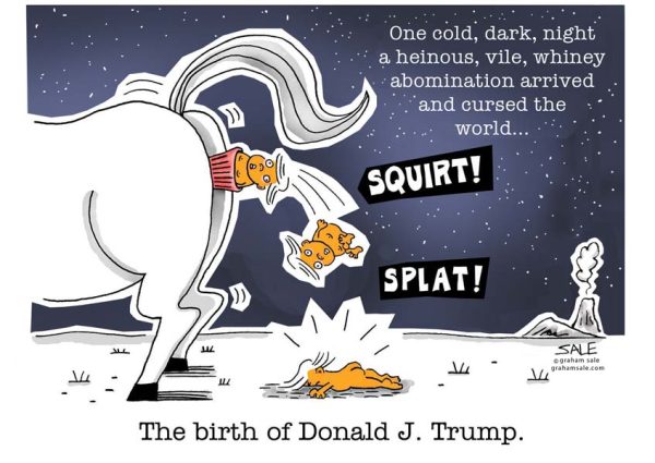 donald trumps birth