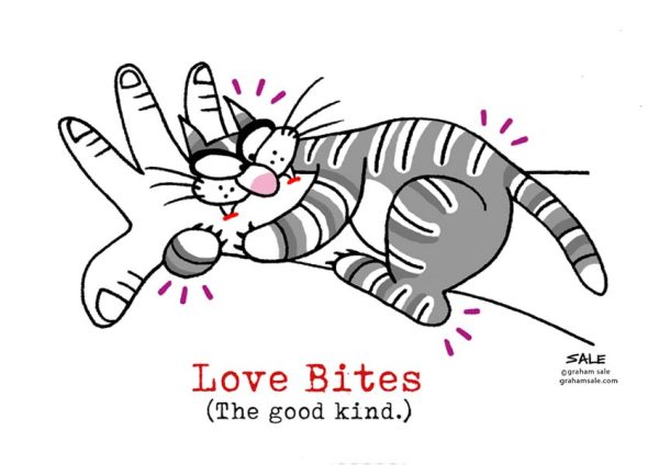 cat love bites the good kind