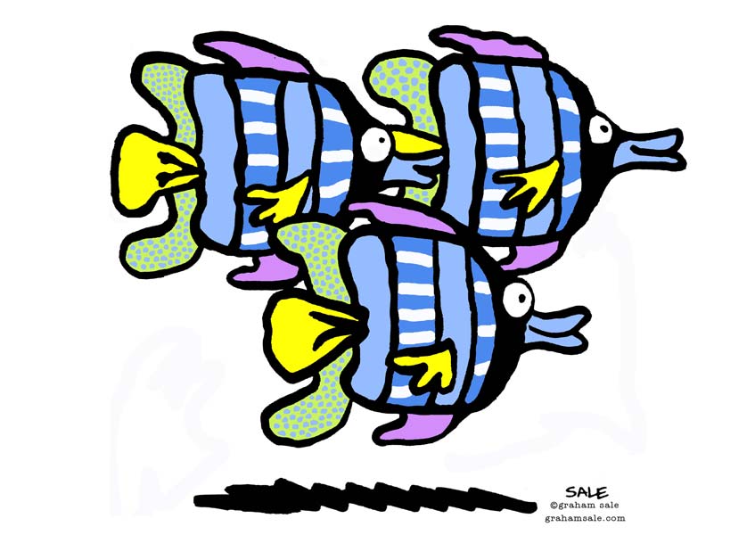 angel fish blue