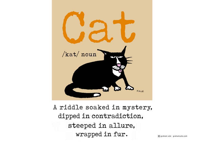 cat a riddle soaked in mystery, dipped in contradiction, steeped in allure, wrapped in fur ecard