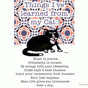 things i learned from my cat ecard
