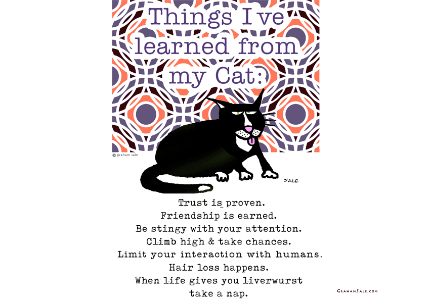things i learned from my cat ecard