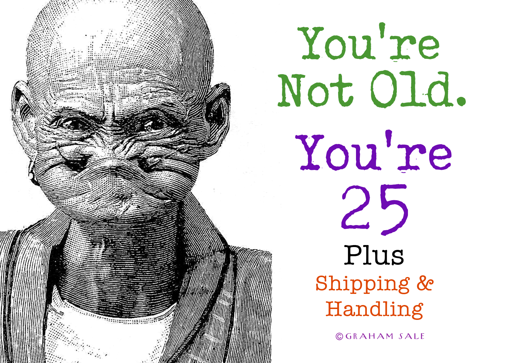 youre not old youre 25 plush shipping and handling ecard